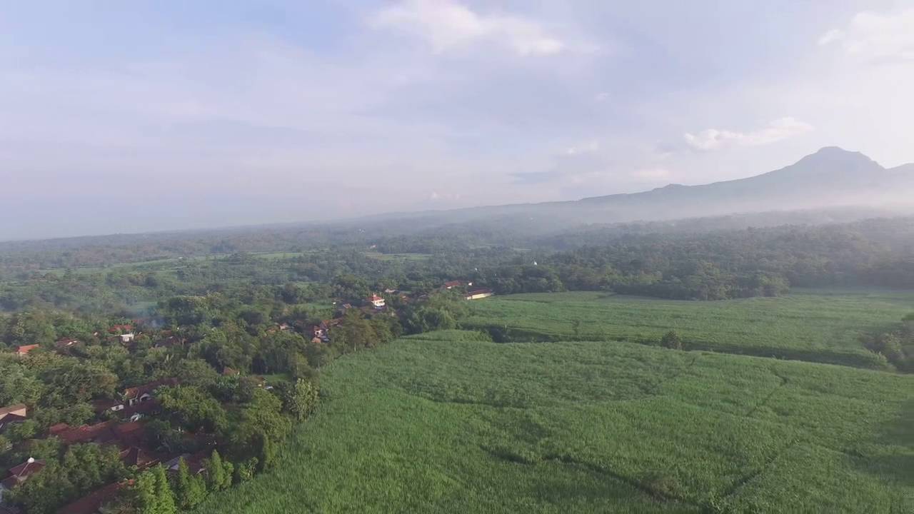 Gebog