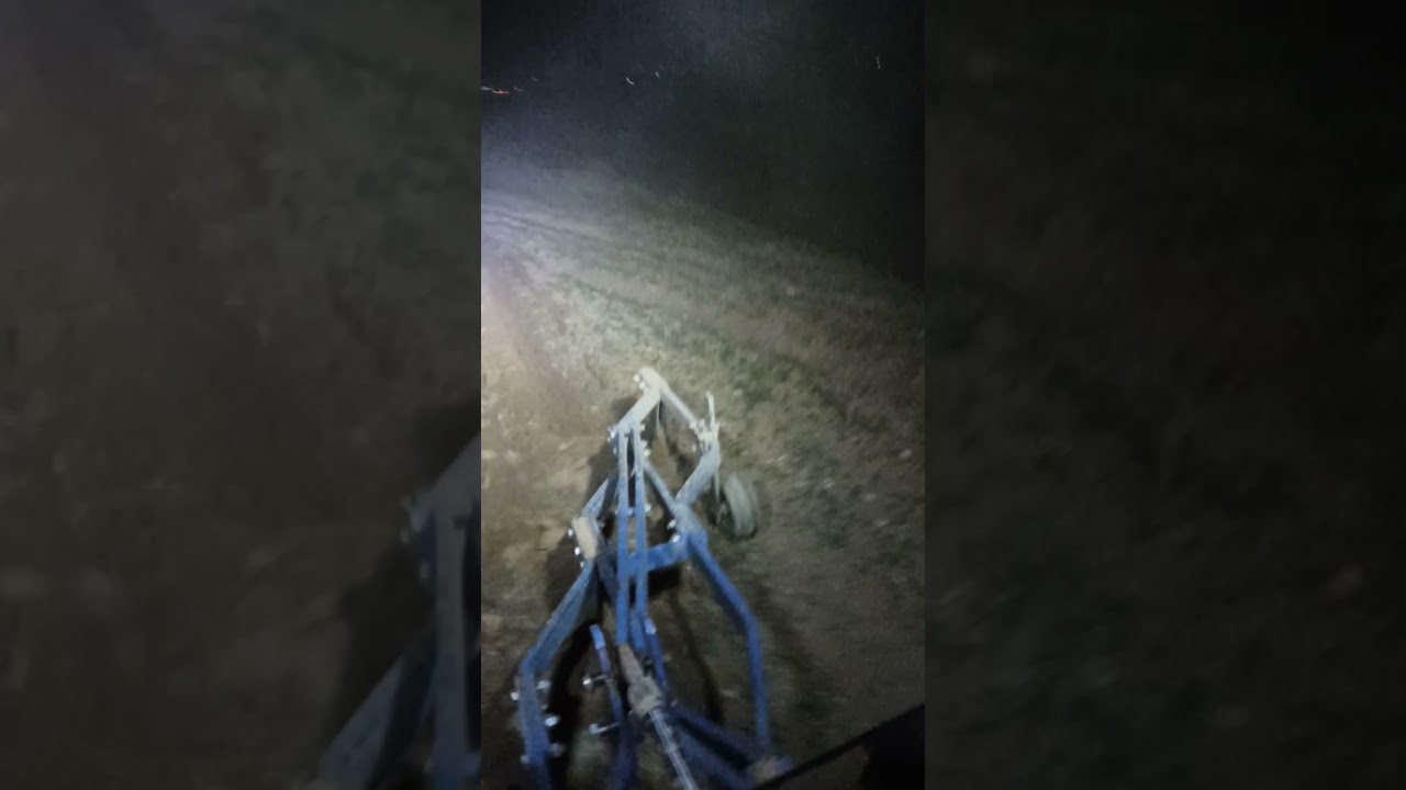 GECE TARLA SÜRÜMÜ