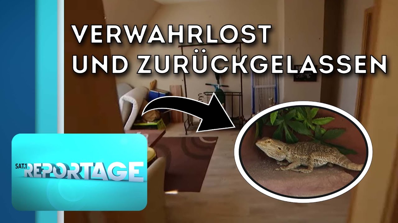 Gefahr bei Zwangsräumung: Tierquälerei aufgedeckt | 2/2 | Die SAT.1-Reportage