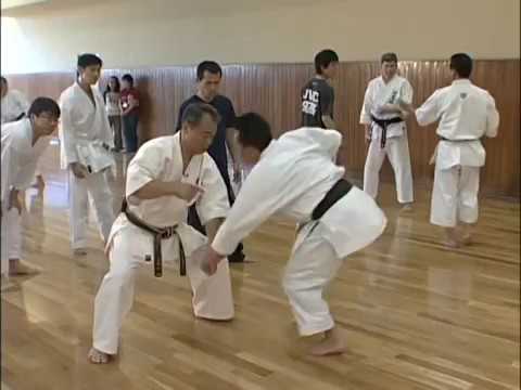 Gekisai Dai Ichi   Goju ryu   Kata no ura bunkai   Yoshio Kuba