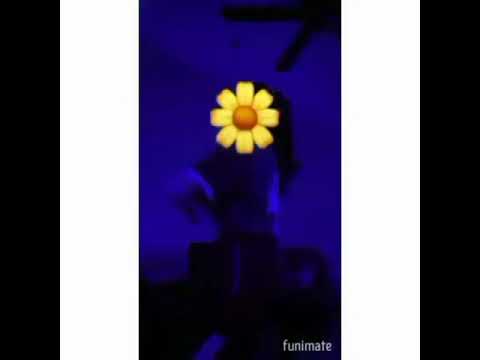 Gelek Part 1