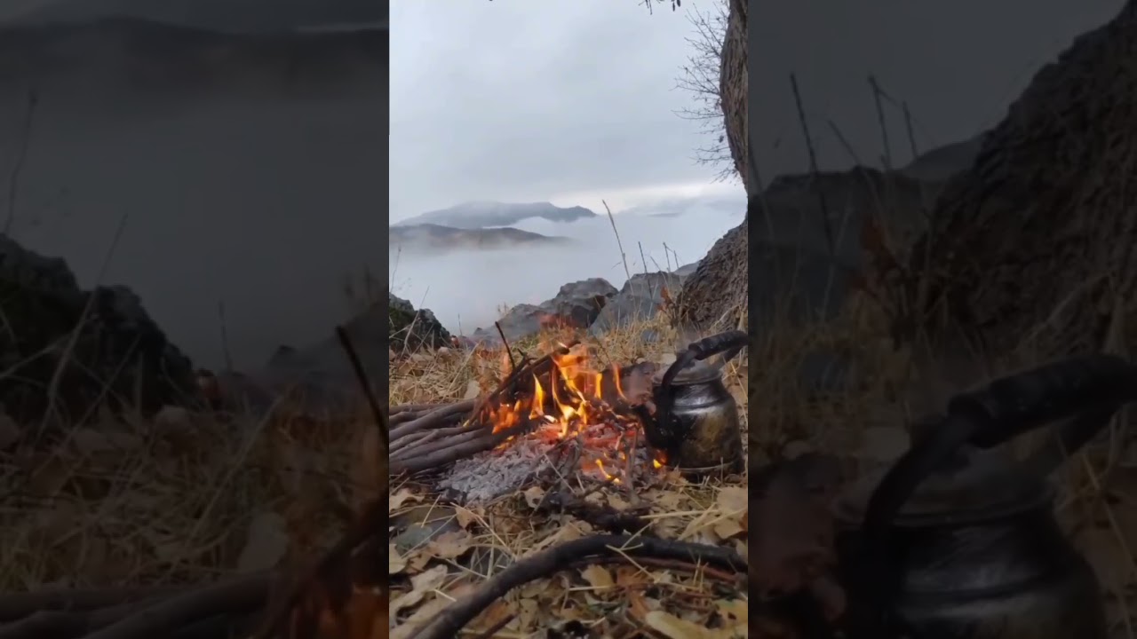 Gelip geçici bir dünyadayız