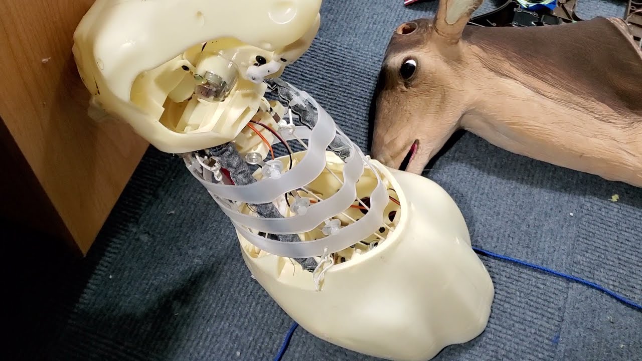 Gemmy Buck the singing Deer head Animated Trophy Restoration Tip