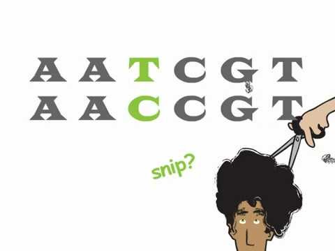 Genetics 101 (Part 2 of 5): What are SNPs?