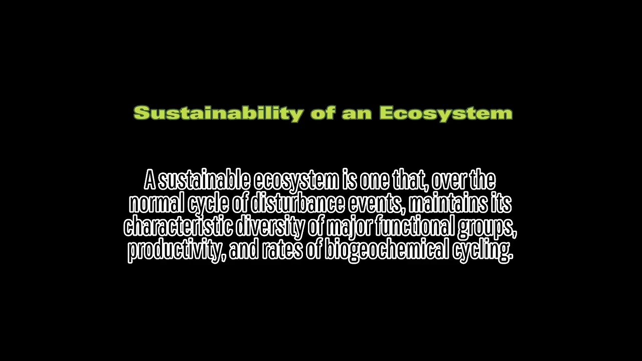 Geography- Savanna Ecosystem Project