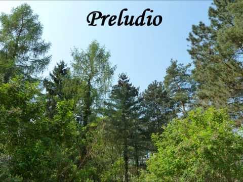 Georg Friedrich Händel (1685 - 1759) Partita in G major (HWV 450)