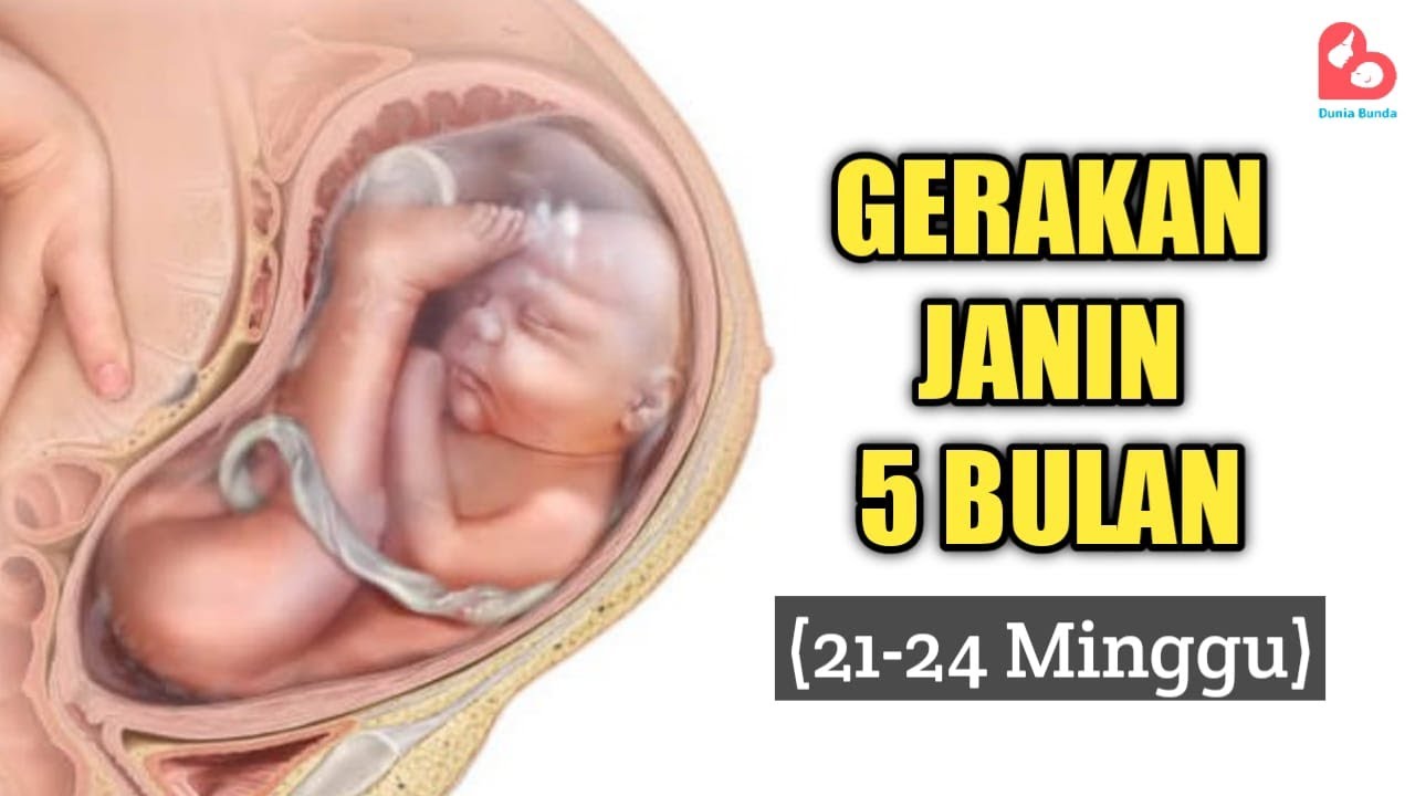 GERAKAN JANIN 5 BULAN, AWAL BUMIL RASAKAN GERAKAN JANIN