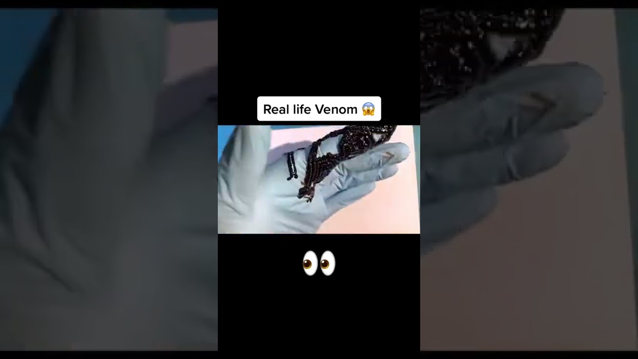 Gerçek Venom Maddesi⁉️😱🥵🥶🙀😳😯⁉️⁉️