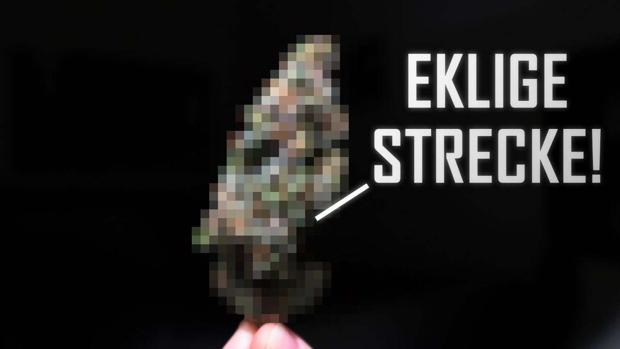 GESTRECKTES GRAS! | 10 Krasse Fälle von versetzten BLÜTEN