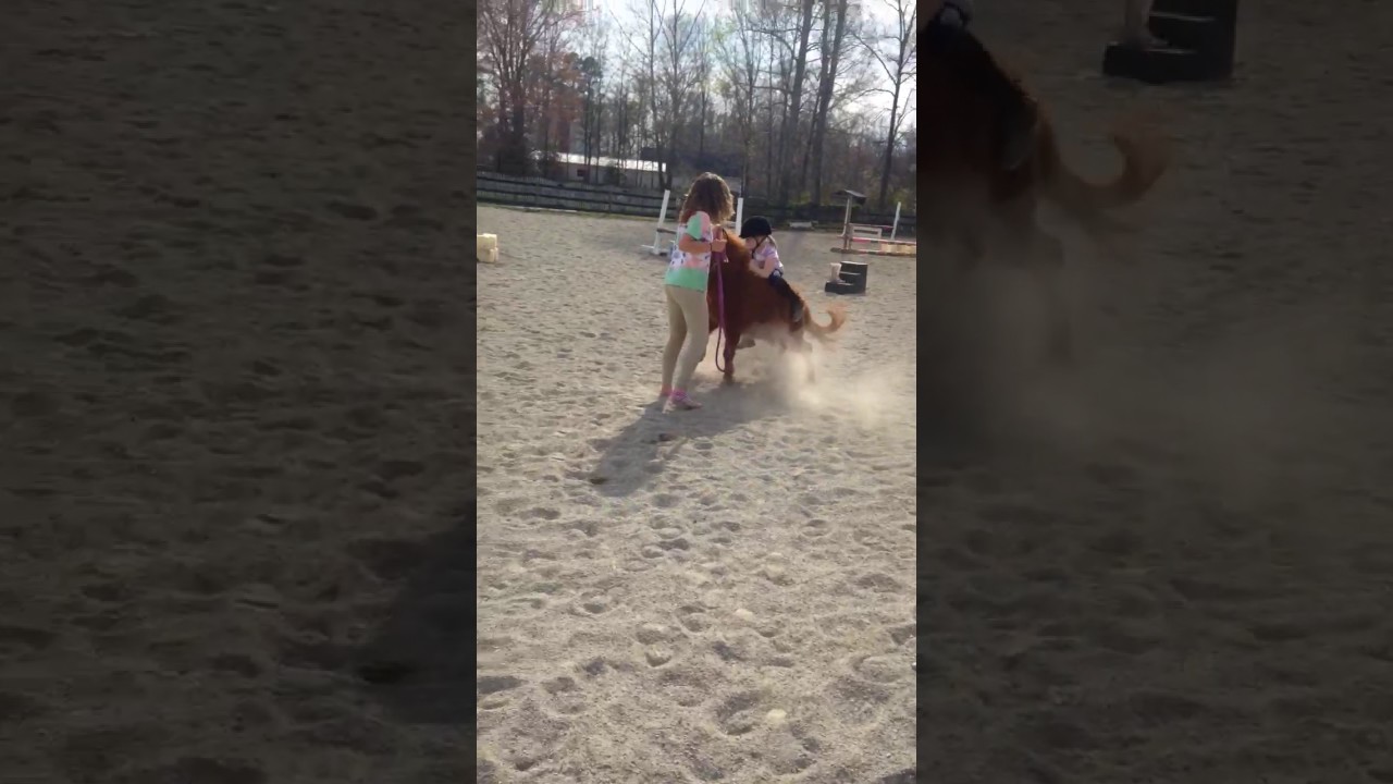 GETTING BUCKED OFF A MINY PONY!!(must watch)