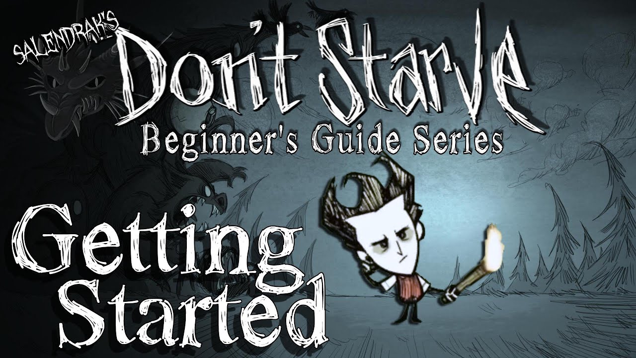 Getting Started (Don't Starve RoG Beginner's Guide Series)