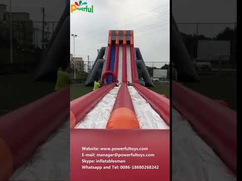giant inflatable hippo water slide