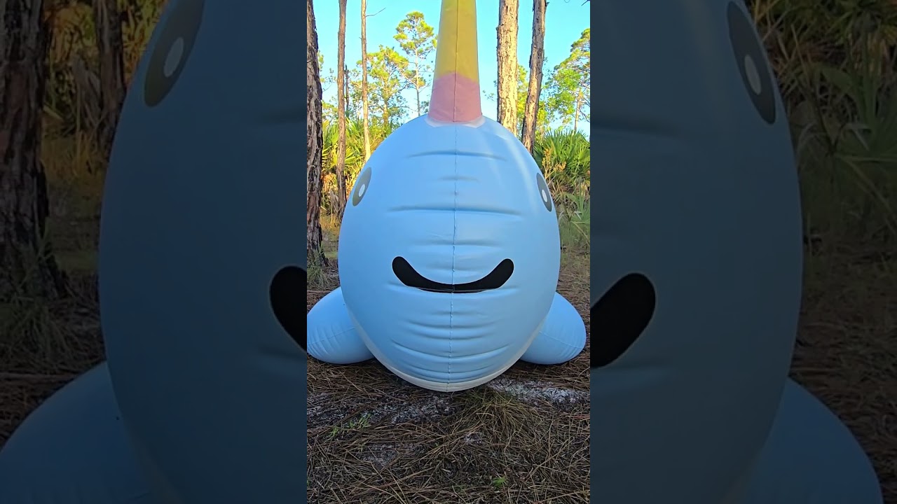Giant Narwhal Ride-On Pool Toy from Get Floaty