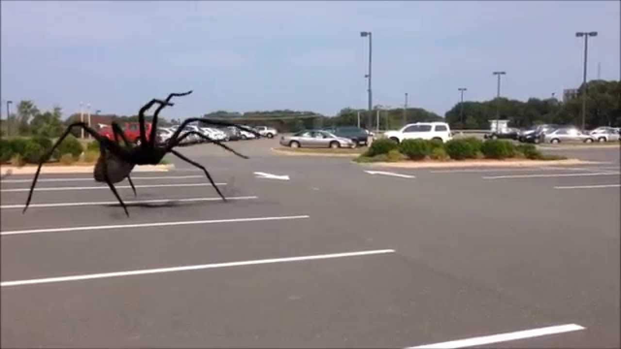 Giant Spider Attacks!!! (Action Movie FX)