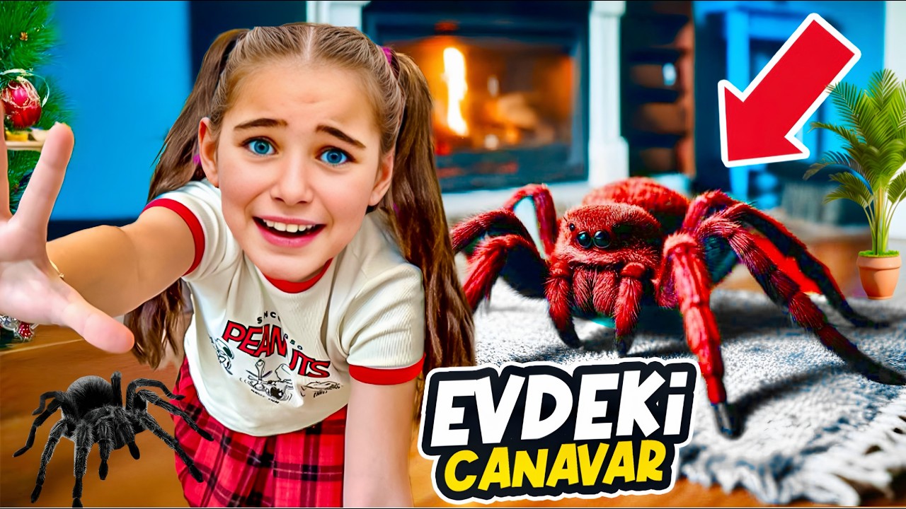 GIANT SPIDER IN THE HOUSE!! ELIF SINEM'S FATHER FAD FALLEN FROM FEAR!! IT BITED ELİF!!