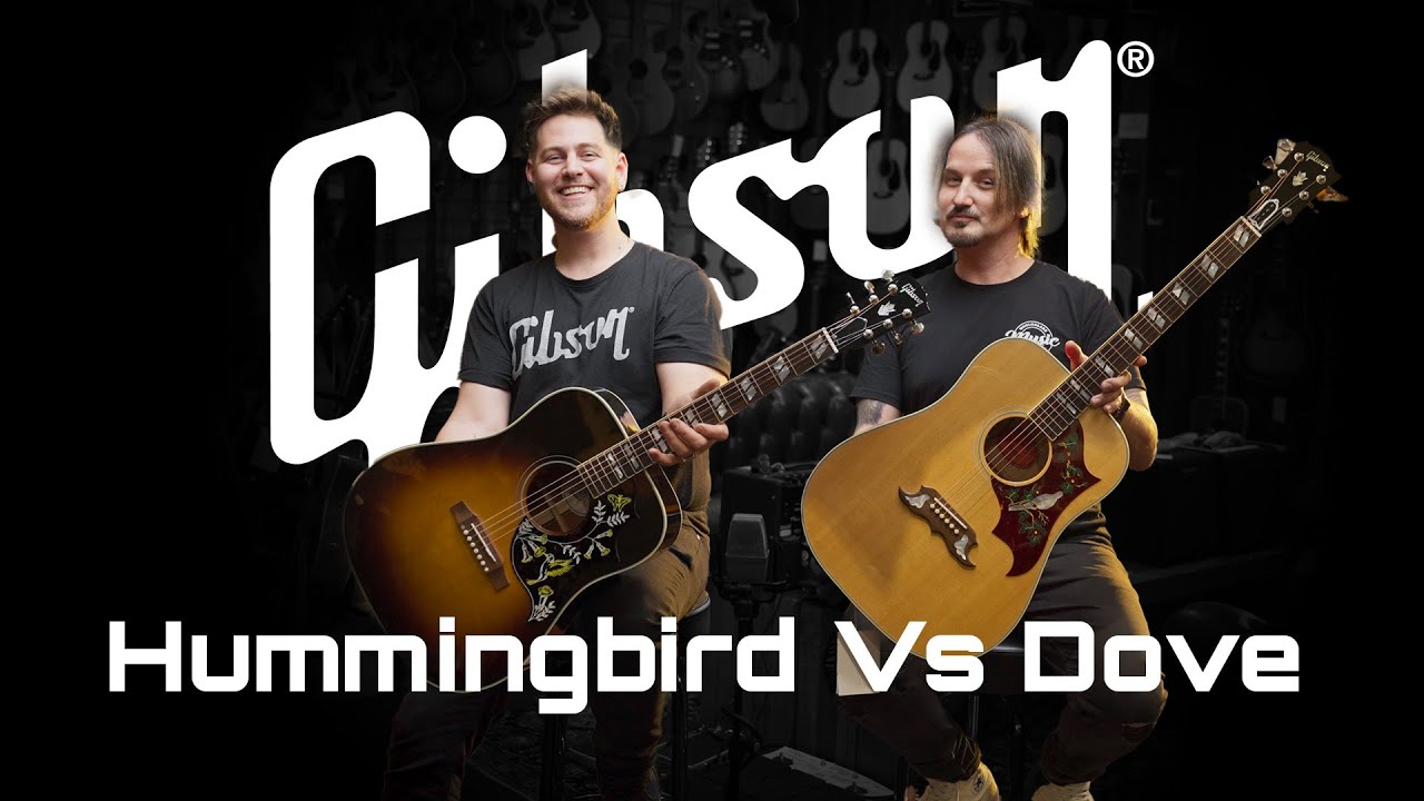 Gibson Dove vs Hummingbird | Mooloolaba Music