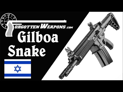 Gilboa Snake: Is the Double-AR Really so Dumb? (Re-Cut for YouTube)