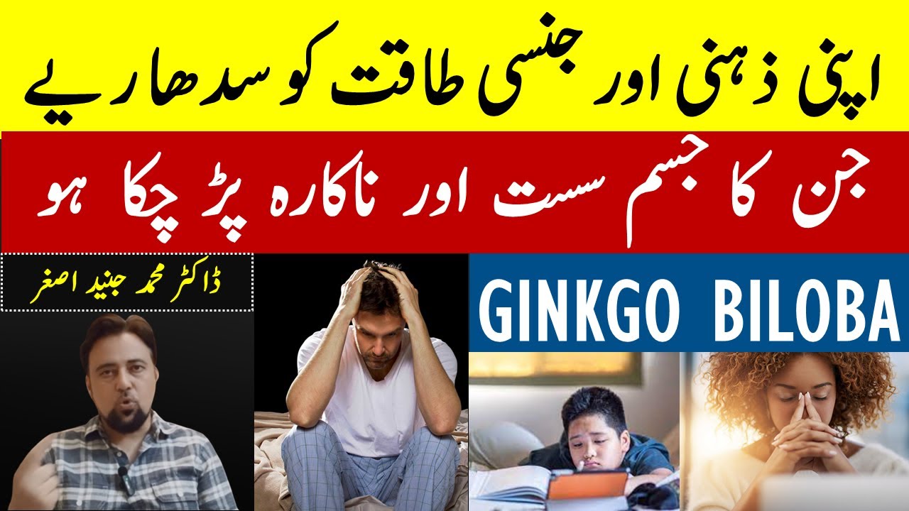 Ginkgo Biloba - Memory - [Mood] - Power