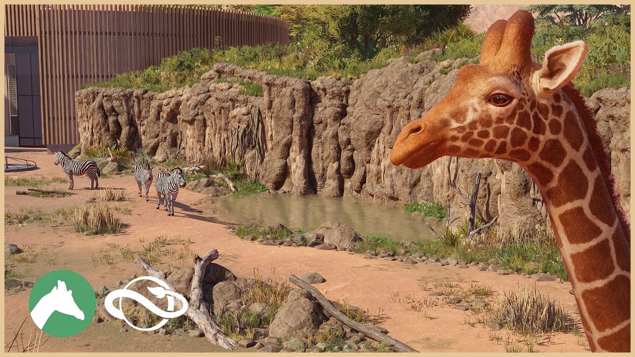 Giraffe & Zebra Habitat | Desert Adventure Park | Planet Zoo