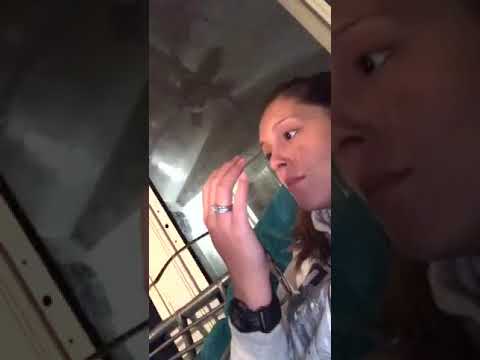 Girl Gets Scared as Dog Accidentally Bites Her Face - 1108979