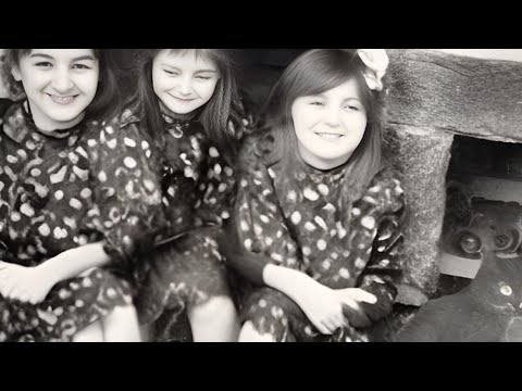 GIRLS 1 CAT VIDEO 3 GIRLS AND 1 CAT 3 GIRLS 1 KITTEN THREE GIRLS ONE KITTEN VIRAL VIDEO OF