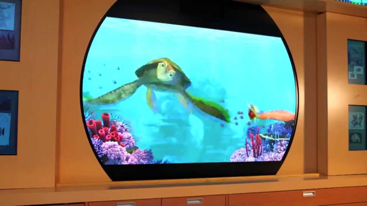 Give the Gift: 12 Days of Disney Cruise Line