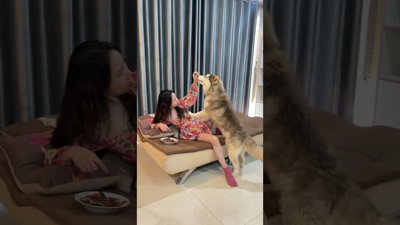 Giving favorite food for TOTO