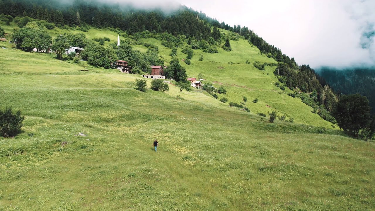 Gökhan Birben - Oy Puşilim