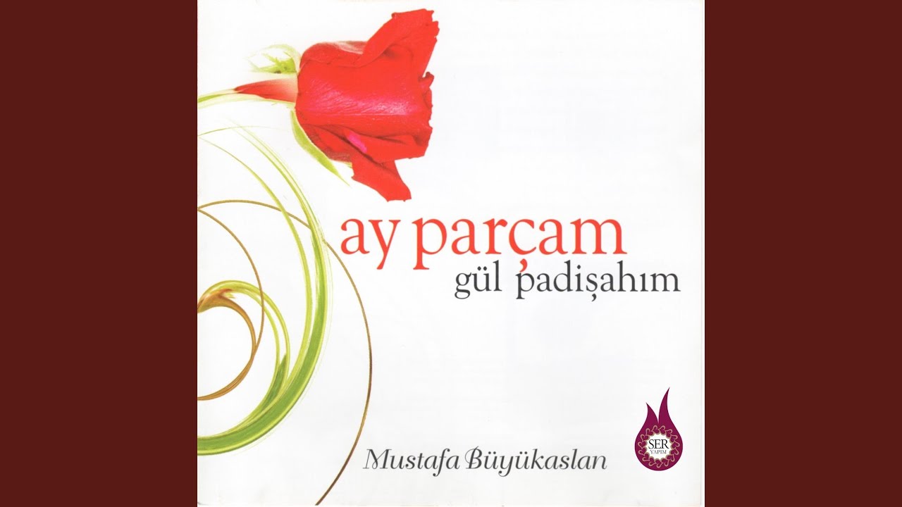 Gül Ağlıyor