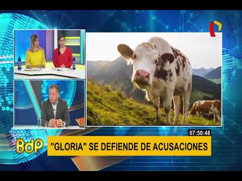 Gloria: Leche es 100% de vaca y se elabora conforme al Codex Alimentarius