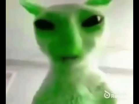 gnarp gnarp