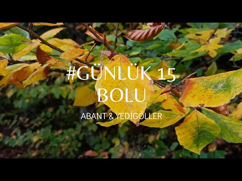 GÜNLÜK #15 BOLU/Abant&Yedigöller