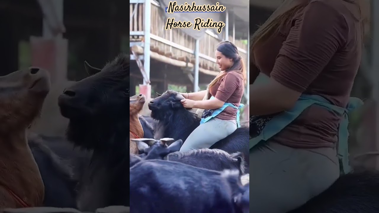 goat riding 🐐#viralvideo #womenempowerment #shortsvideo #goat #shorts