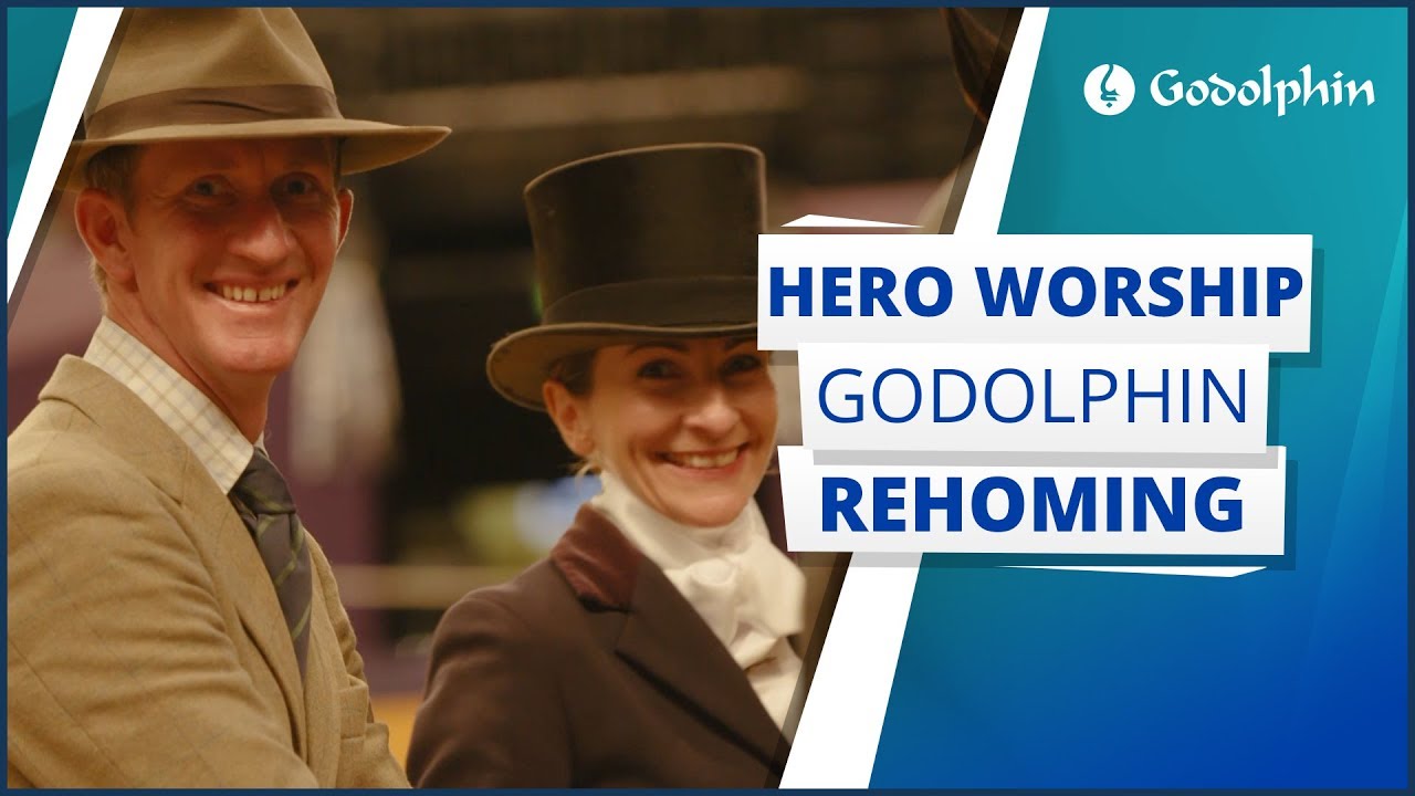 Godolphin Rehoming graduate Hero Worship competes at Horse of the Year show