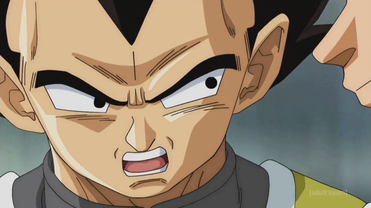 Goku and Vegeta decide to spend 3 years together