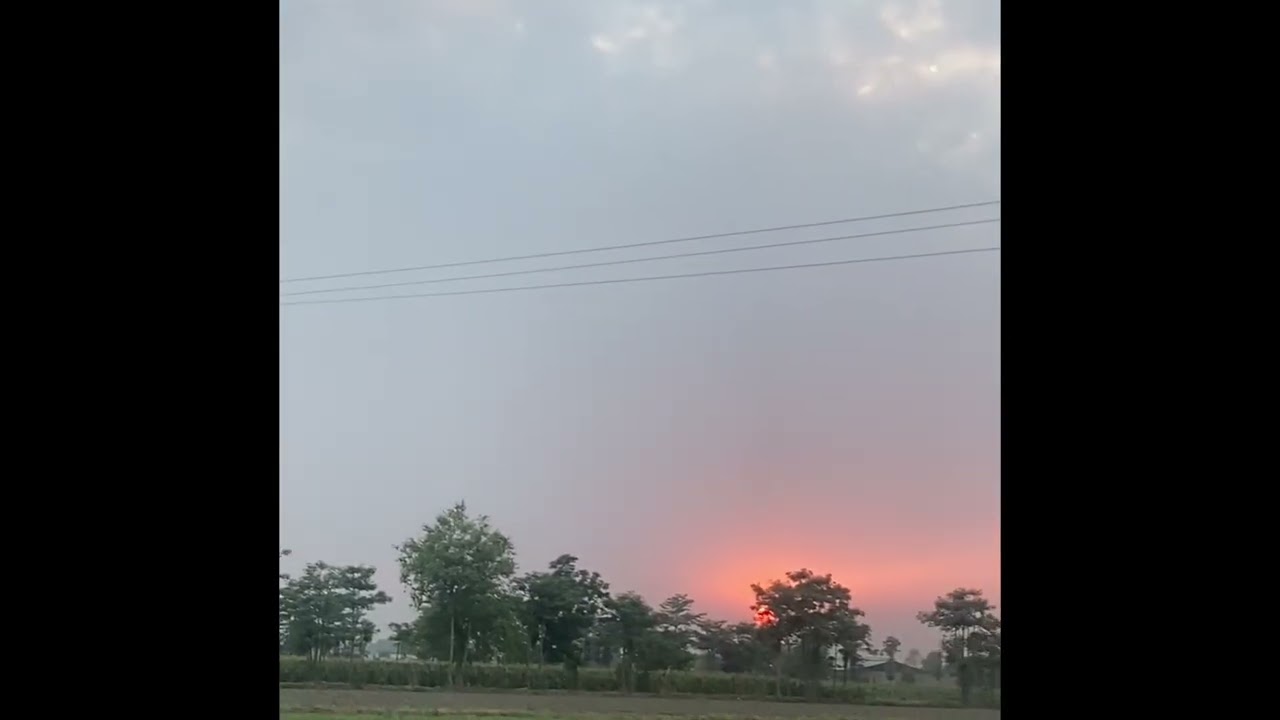 Golden Hour Farming 🌅 | Spreading Fertilizer in Village Fields – Pure Desi Life
