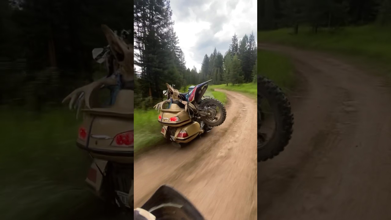 Goldwing ADV 2 up #offroad #adventure #motorcycle