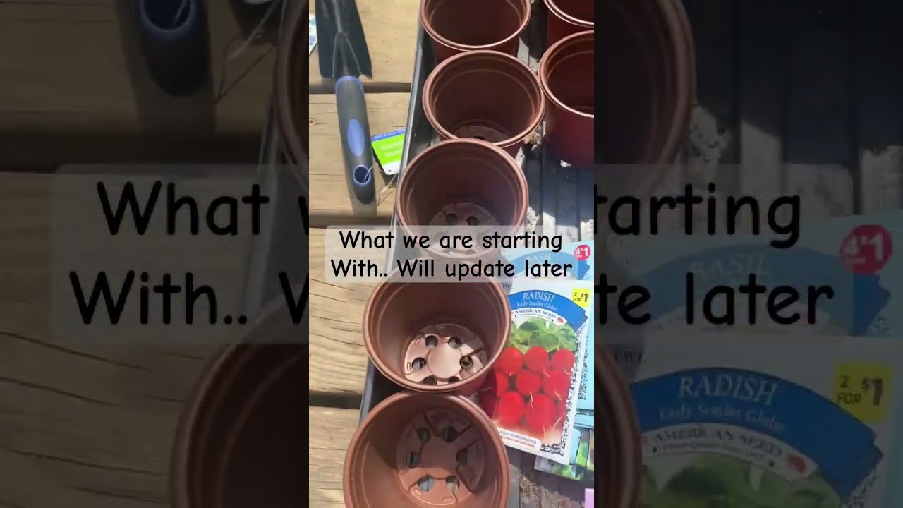Good Garden Buy at 1.25 Store | #gardenchat #garden #seedstarting #seeds
