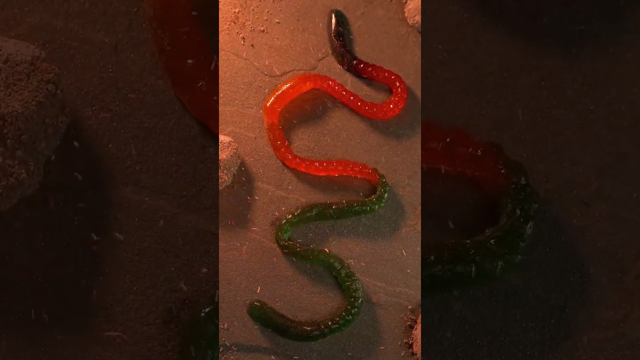 Goodness Gracious! Great Worms of Fire!!