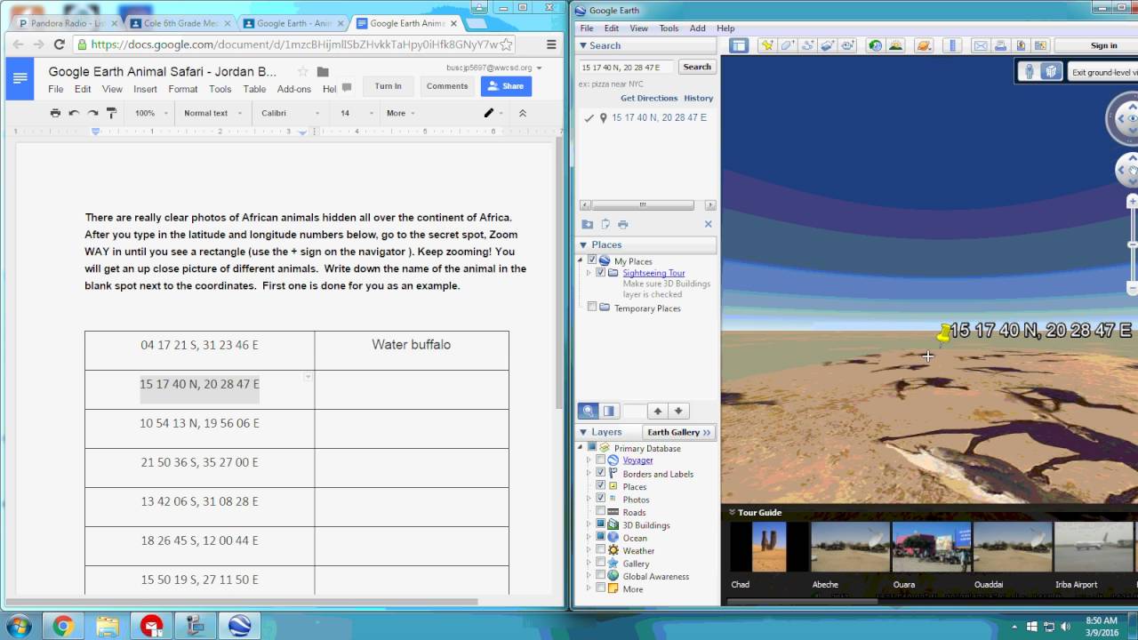 Google Earth Animal Safari Lesson
