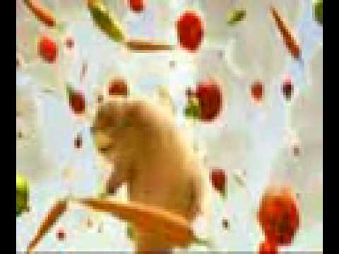 Gopher Broke.3gp