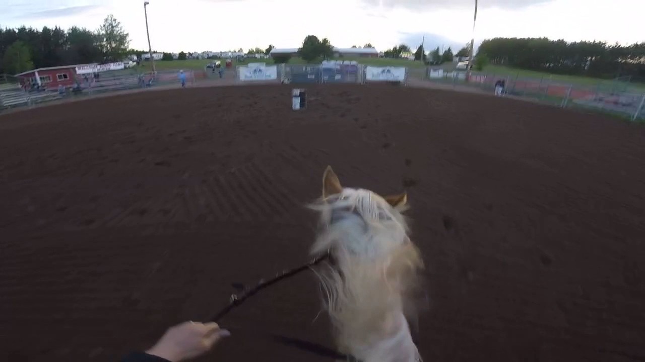 GoPro Plug Race! // Versatile Horsemanship