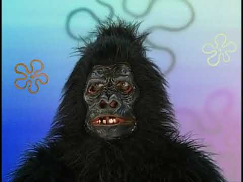 Gorilla - GEORGE, THEY'RE ONTO US! (READ DESCRIPTION)