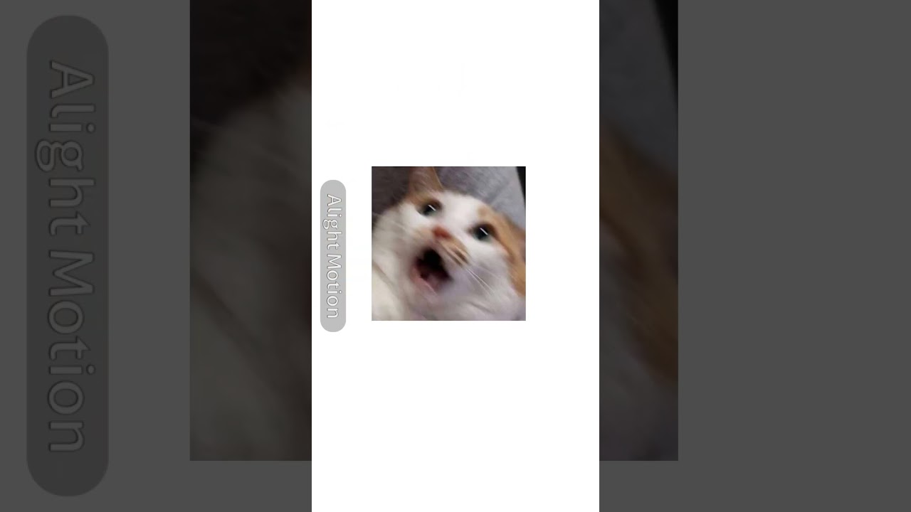 @gotzewolfcat2 (warning loud volume) #thelectricstate #alightmotion #memes
