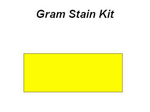 Gram Stain Kit | Histology, Special Stains - Scytek Laboratories