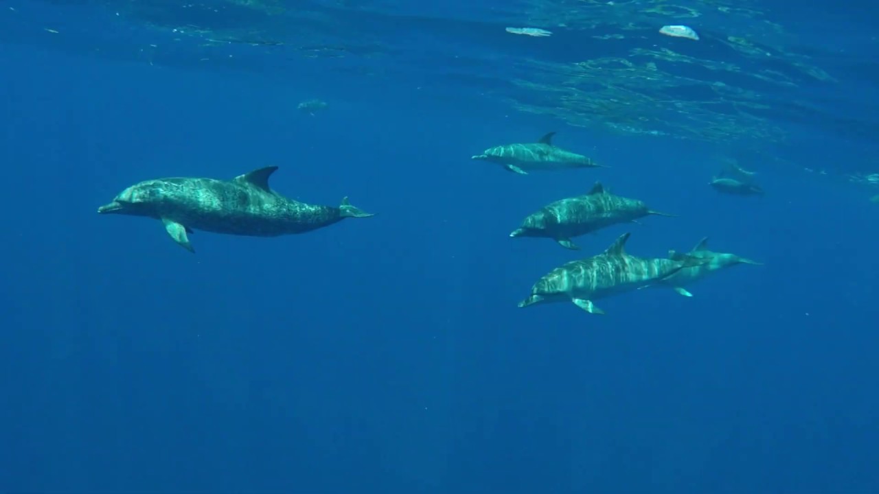 Grand Cay Bahamas June 2019