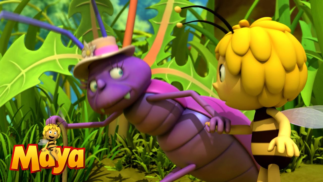 Grandma Bug - Maya the bee🦋🐝