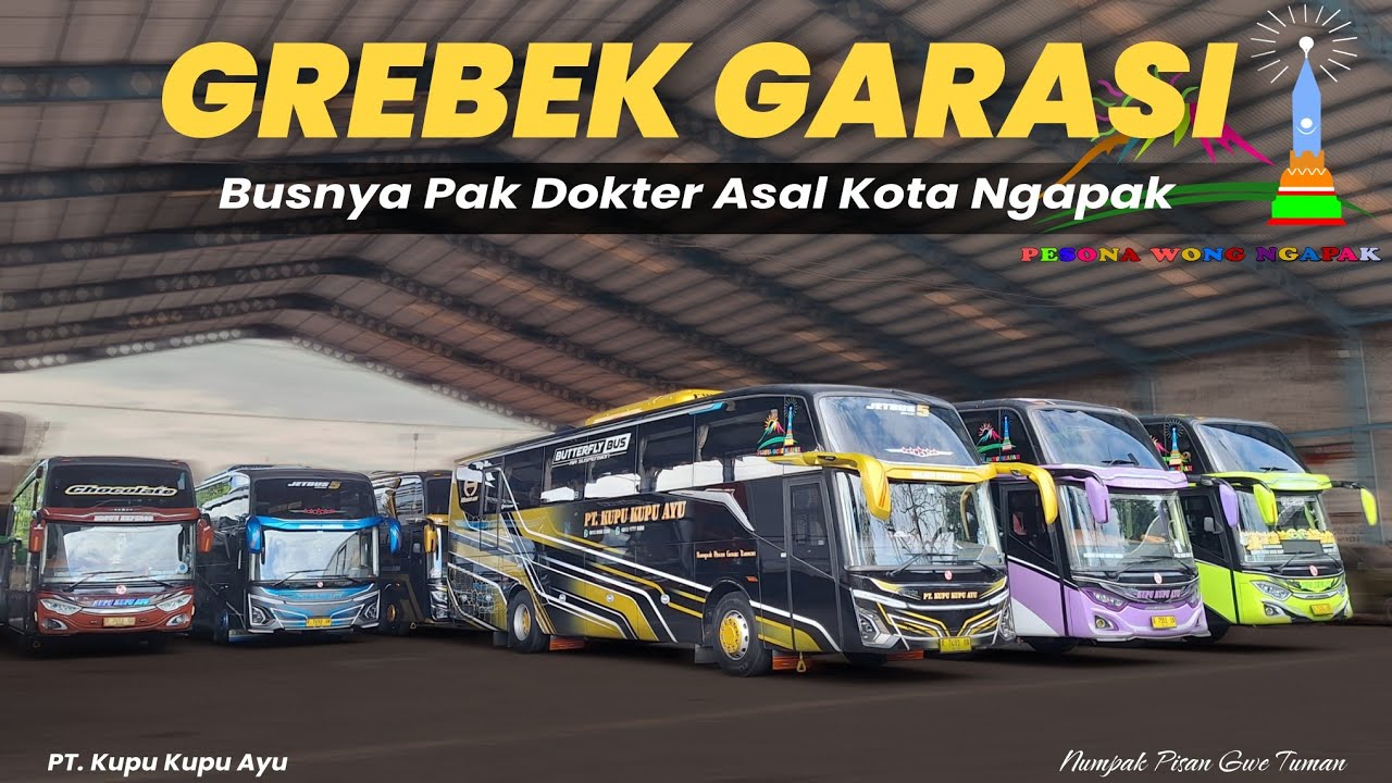 GREBEK ISI GARASI KUPU KUPU AYU❗️Busnya Pak Dokter || Kebanggaan Wong Ngapak