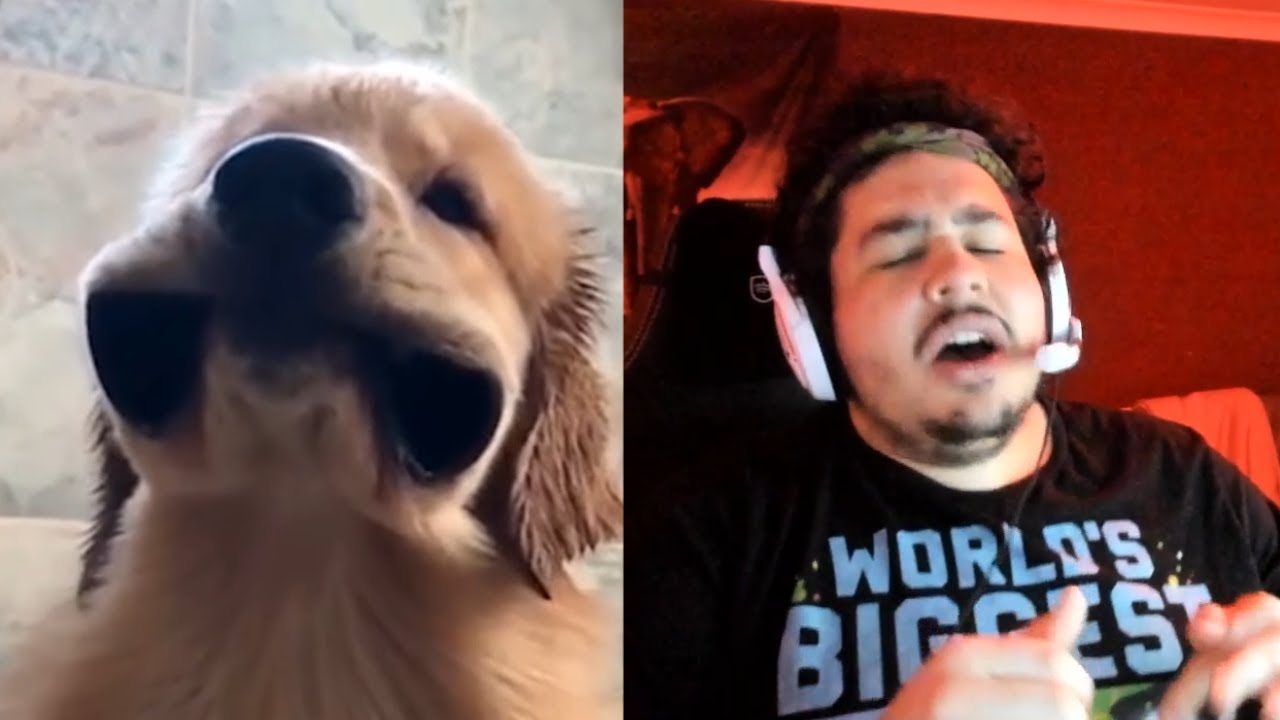 Greekgodx Reacts To The Best Of IRL