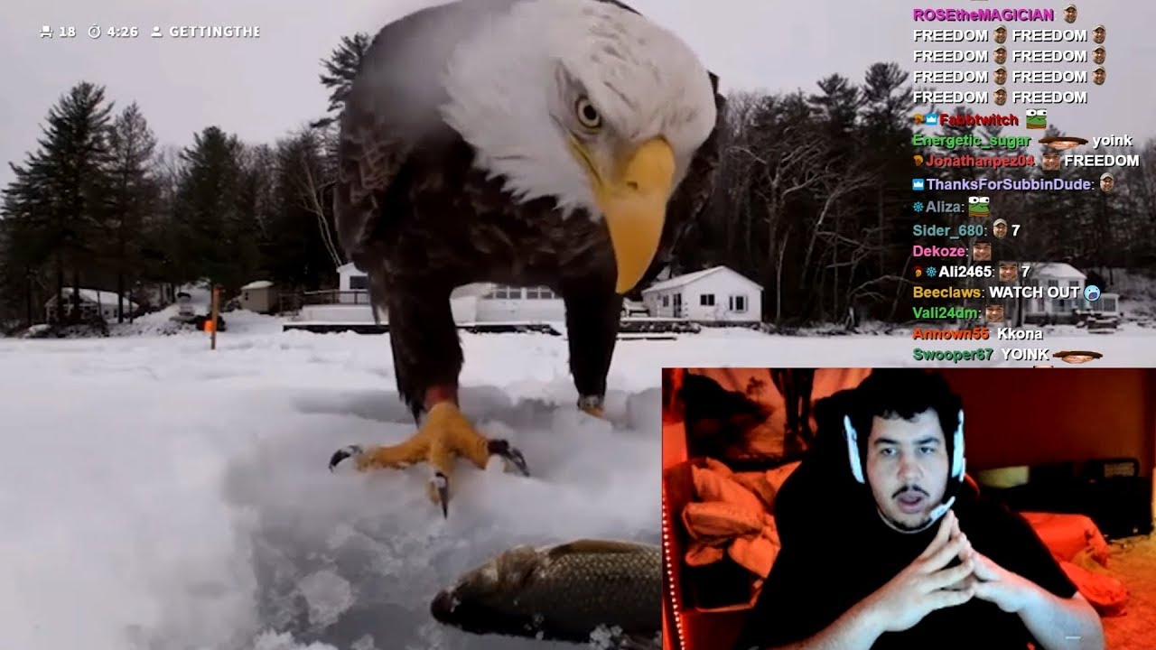 Greekgodx Reacts to Top Viral Videos 2019